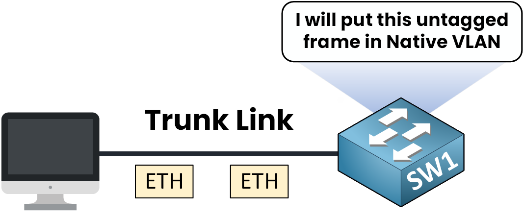 Le commutateur SW1 place une trame Ethernet non étiquetée dans le VLAN natif sur une liaison interurbaine.