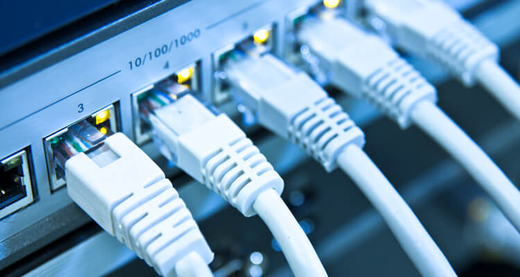 UTP Ethernet cables plugged into RJ45 ports on a network switch