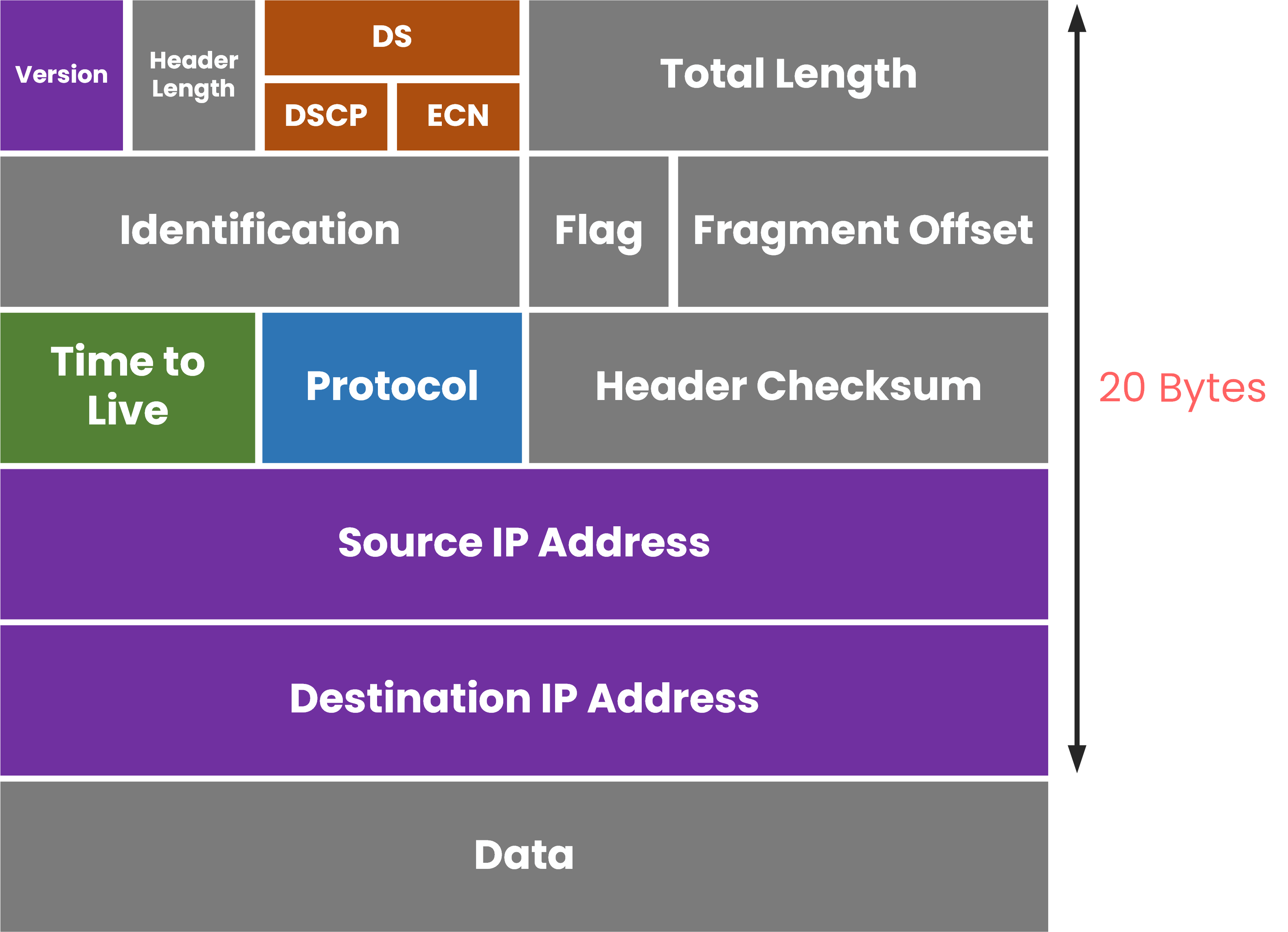 IPv4 packet header showing 20-byte size with key fields including version, header length, DSCP, ECN, TTL, protocol, and IP addresses