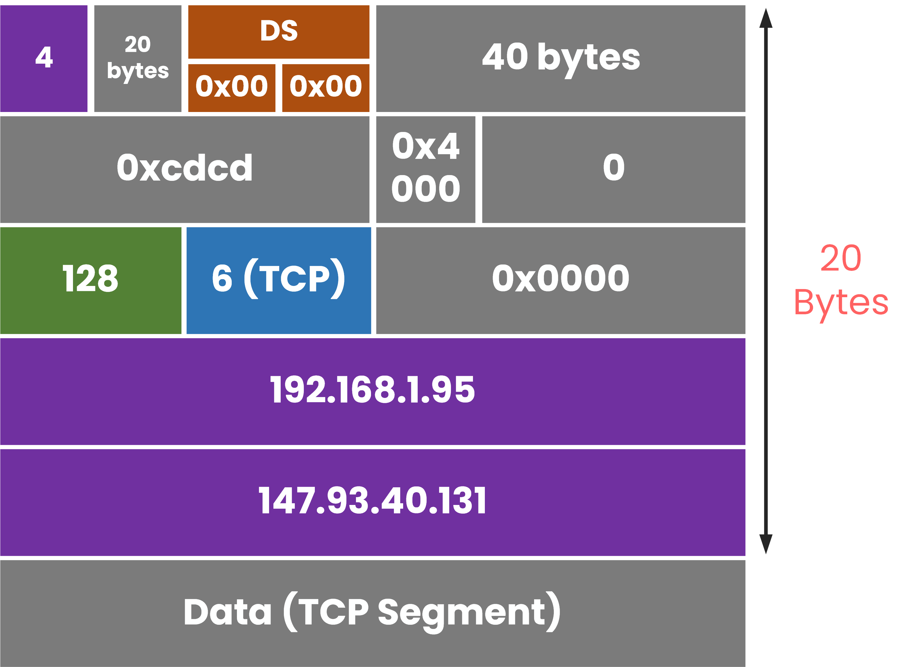 Example of a filled IPv4 packet header showing version 4, TTL 64, protocol TCP, and realistic source and destination IPs