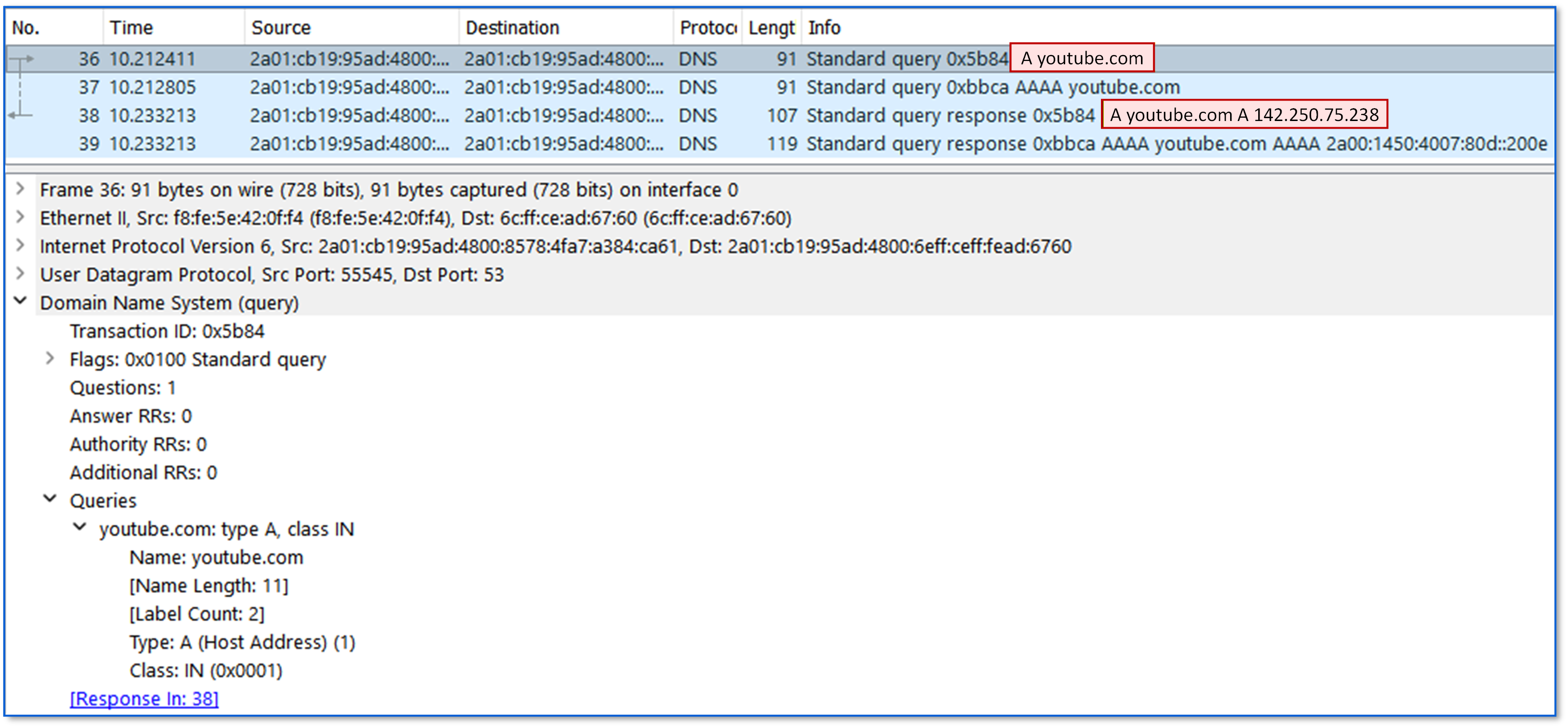 DNS A record query and response in Wireshark