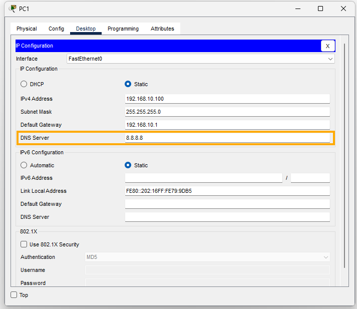 configure dns server on packet tracer