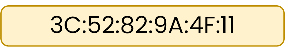 MAC address shown as a 48-bit identifier