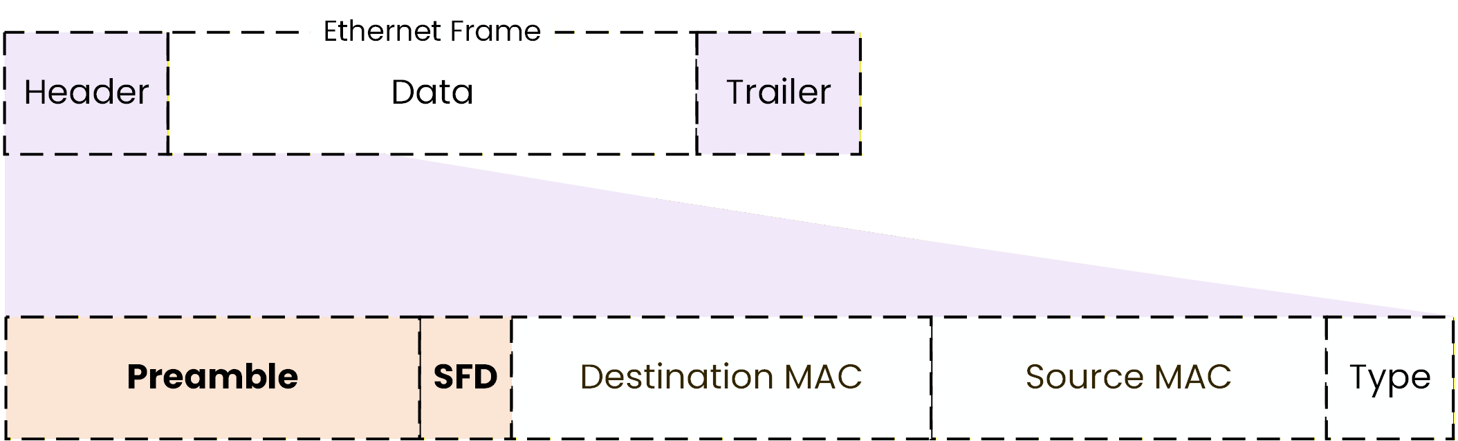 Ethernet frame showing the preamble and start frame delimiter fields