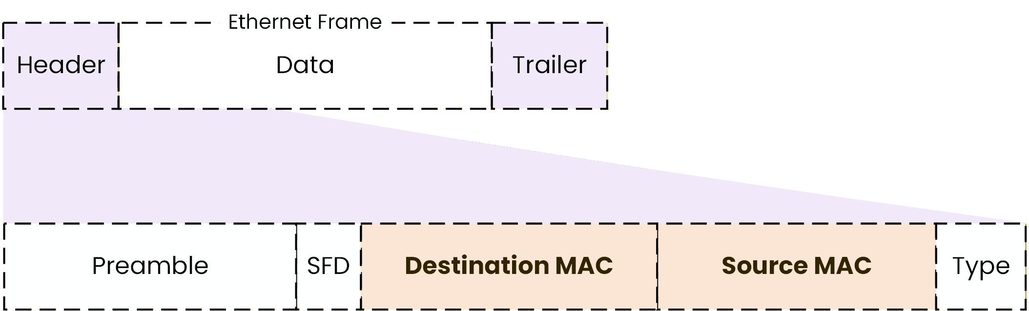 Ethernet frame header highlighting source and destination MAC addresses