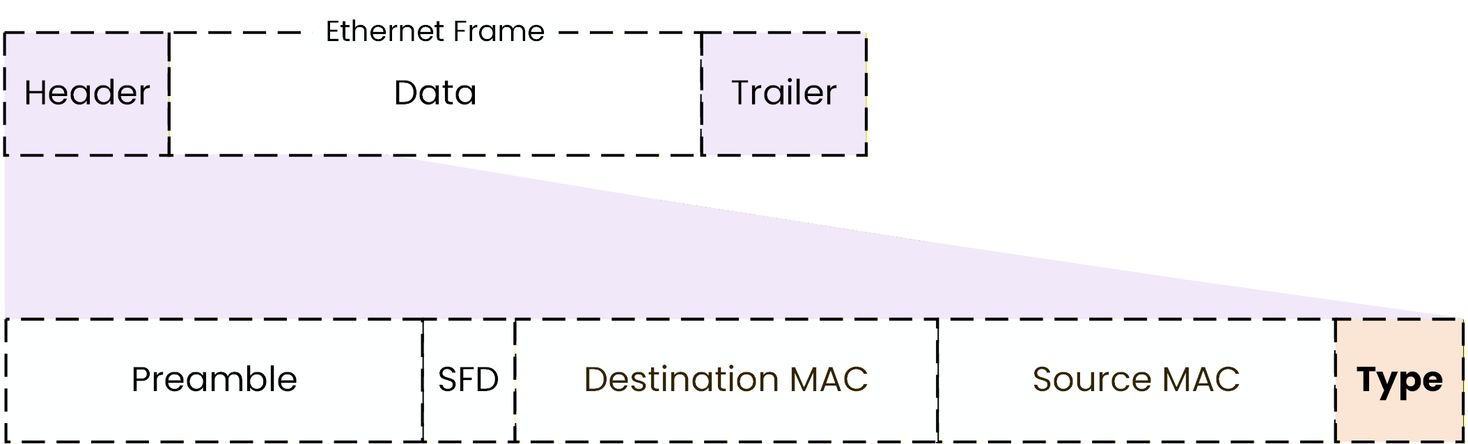 Ethernet frame header highlighting the Type field