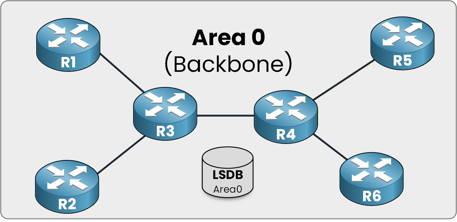 OSPF Area 0 backbone topology showing centralized LSDB database