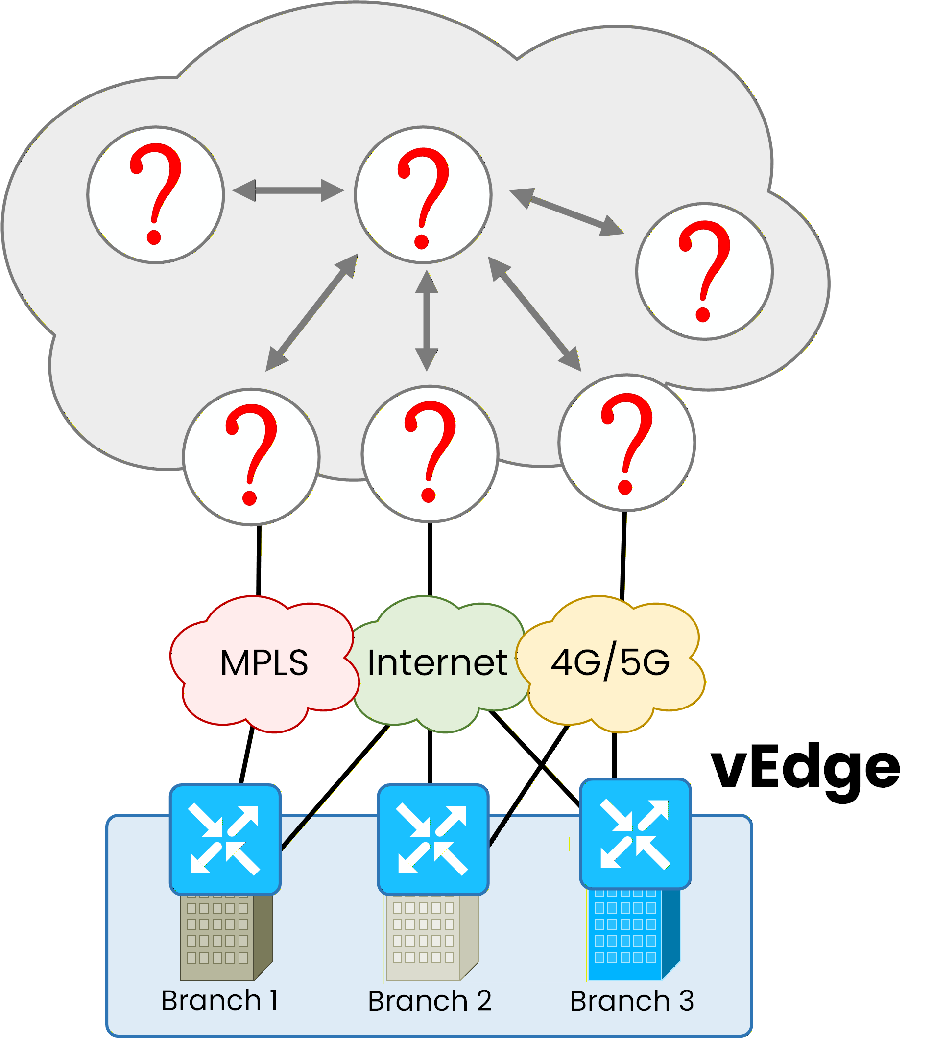 WAN Edge routers at each site with unknown components in the cloud