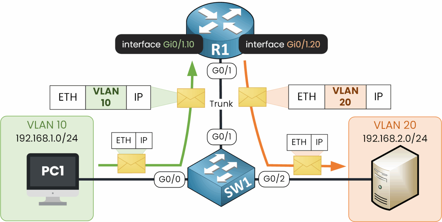 Router on a stick packet flow with VLAN 10 and VLAN 20 encapsulated using dot1q