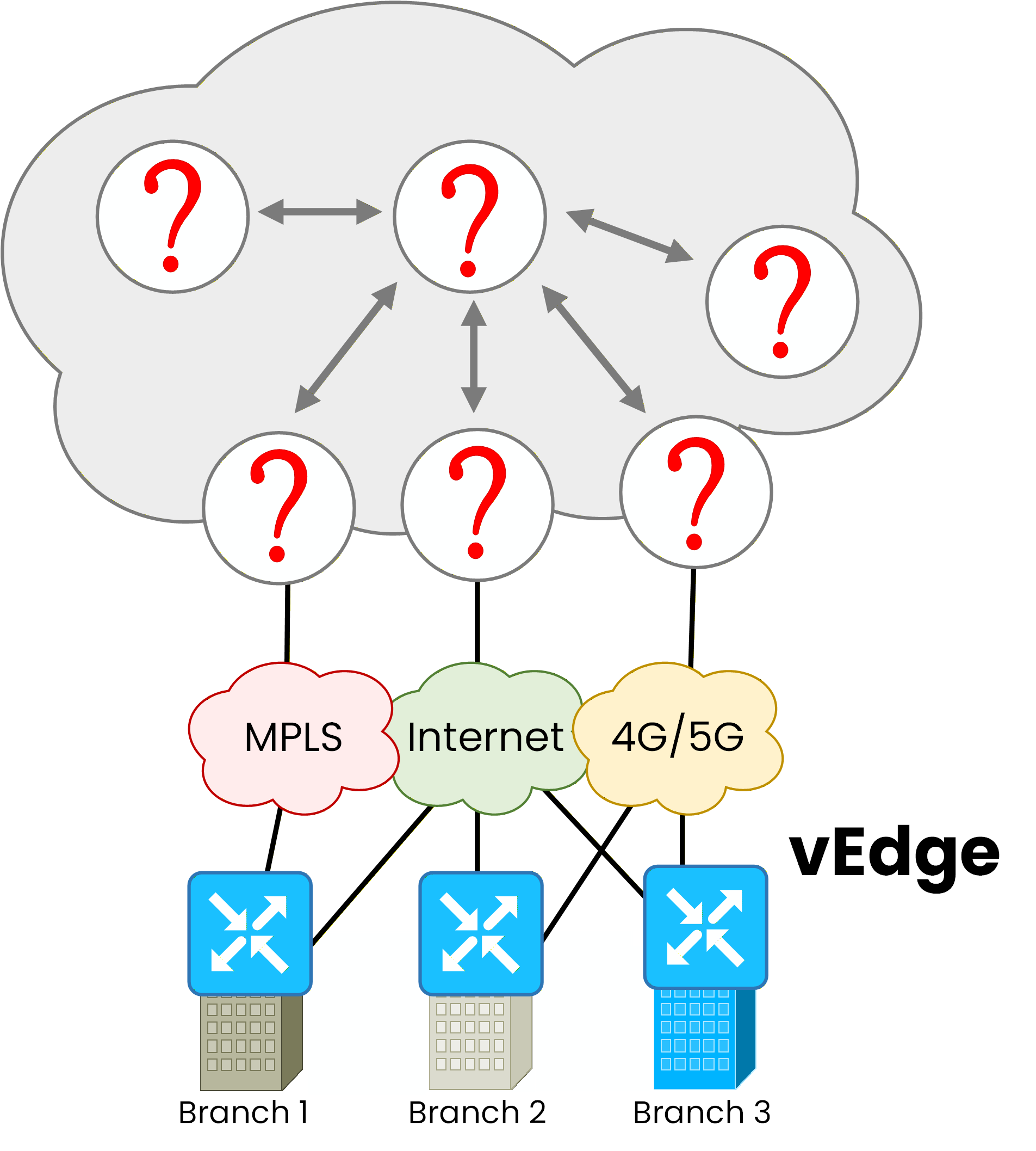 WAN Edge routers at each site with unknown components in the cloud