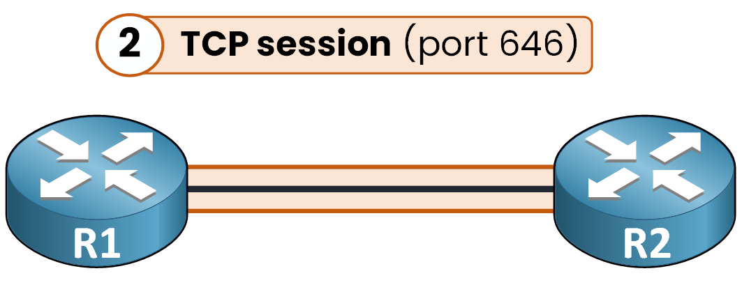Diagram showing an LDP TCP session established on port 646 between two neighboring routers
